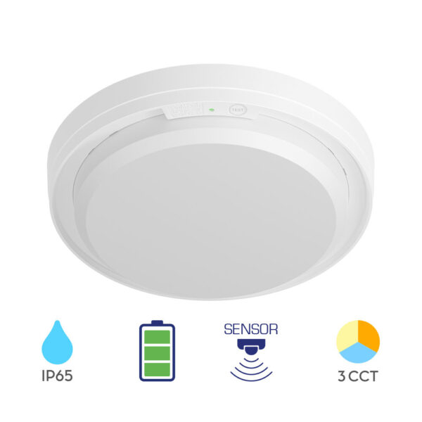 cd287ec2-0c65-4329-b695-ba082c4c6570